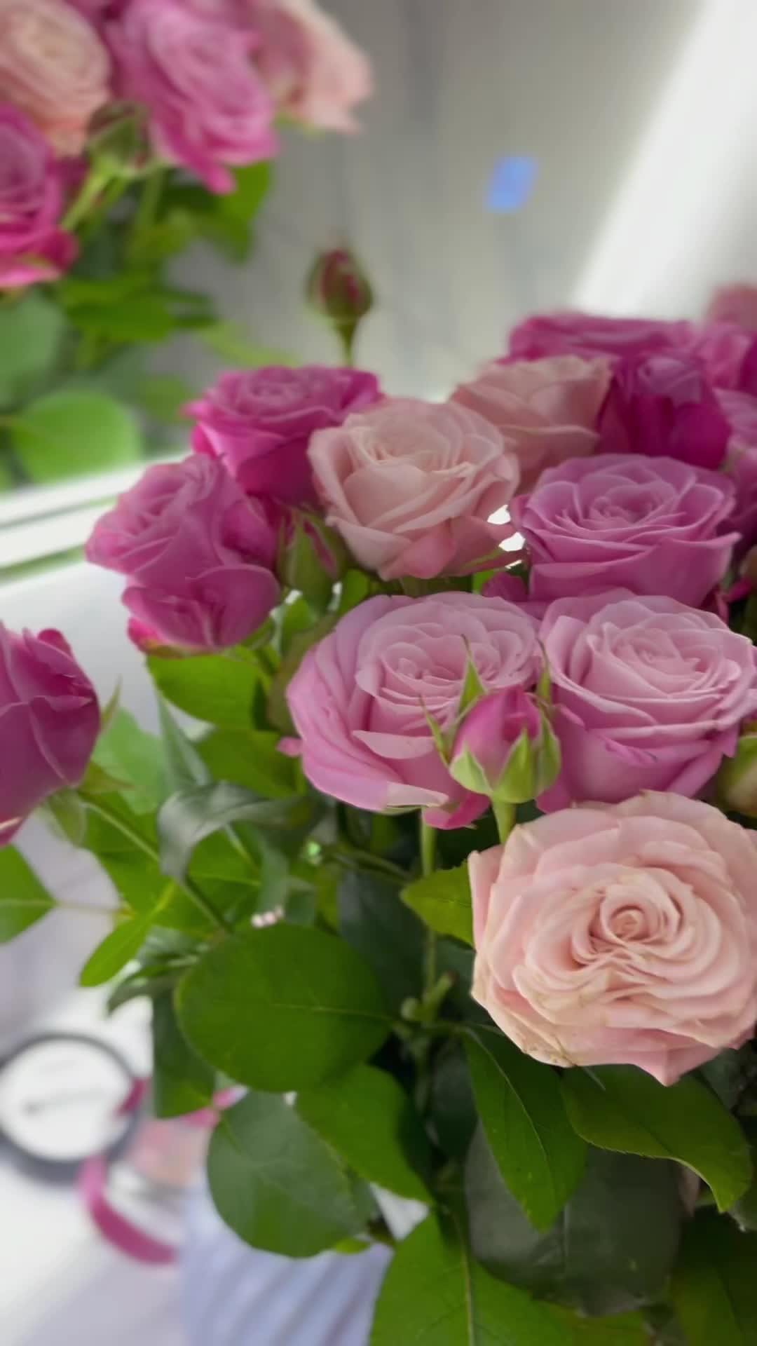 Eternal Spring Vibrance Collection